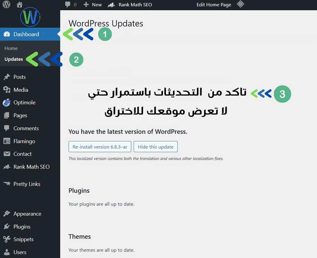 الصورة لقطة شاشة لصفحة لوحة تحكم ووردبريس مع قسم التحديثات مفتوح. يحتوي قسم تحديثات ووردبريس، الذي يعرض النسخة المترجمة، على الترجمة وإصلاحات توطين متنوعة أخرى. يقول النص: "تحديثات ووردبريس".